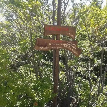 아파트 Regina Delle Nevi 아베토네