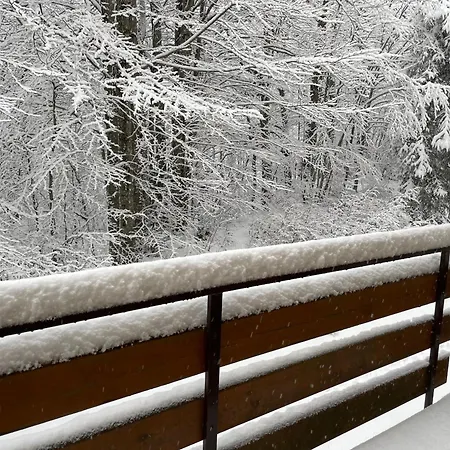 아파트 Regina Delle Nevi 아베토네